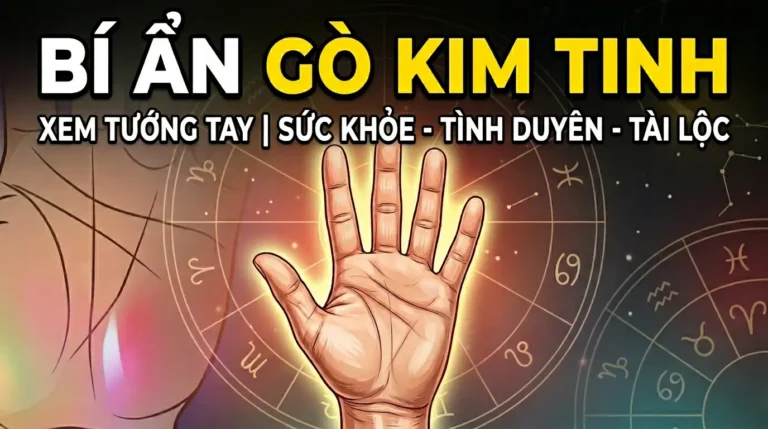 Khám phá ý nghĩa Gò Kim Tinh trong xem chỉ tay: vị trí, hình thái, màu sắc và mối liên hệ với Đường Sinh Đạo, Đường Định Mệnh. Luận giải chuyên sâu từ Tuệ Linh – Huyền Học Phương Đông.